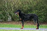 BEAUCERON 976